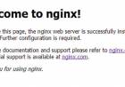 Cara Instal Nginx pada Debian 9