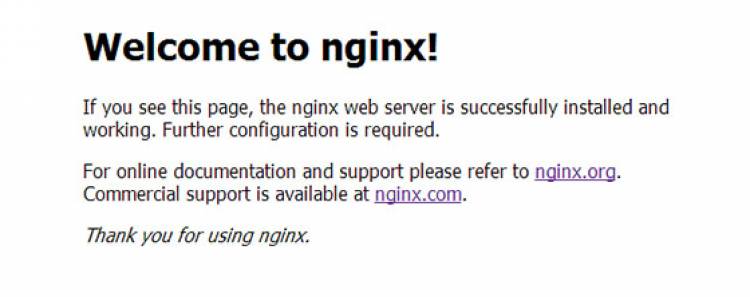 Cara Instal Nginx pada Debian 9